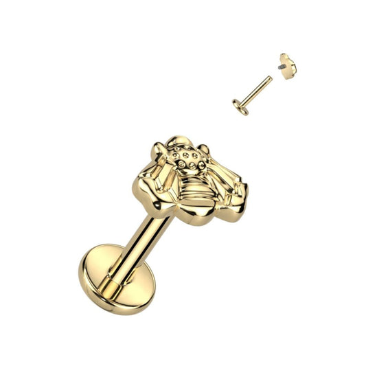 TITANIUM GOLD PLAIN BUMBLE BEE FLAT BACK LABRET - 16 GAUGE - 6MM