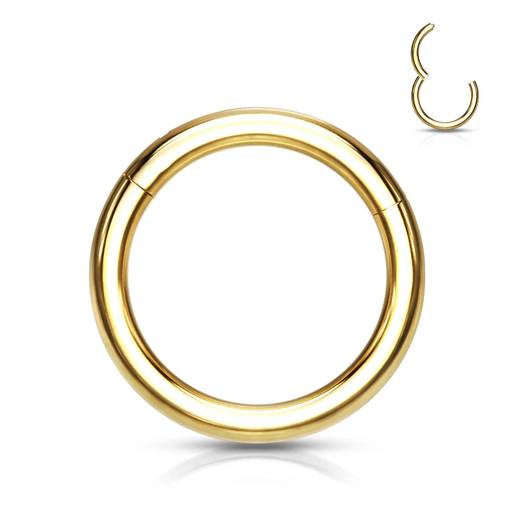 TITANIUM 7MM SOLID SEGMENT HINGE CLOSE RING HOOP - 16 GAUGE