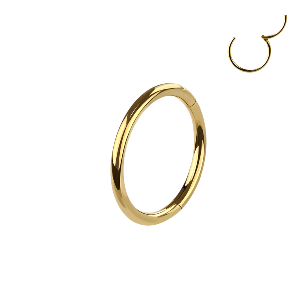 TITANIUM SEAMLESS NOSE RING HOOP